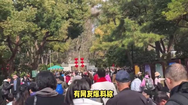 普陀山景区大雾停航,游客滞留上厕所难,管理部门紧急应对