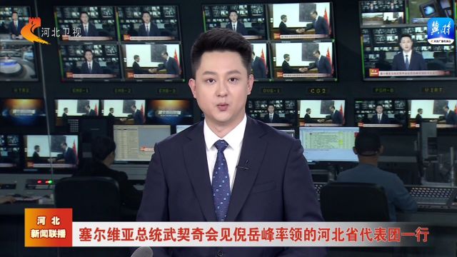 塞尔维亚总统武契奇会见倪岳峰率领的河北省代表团一行