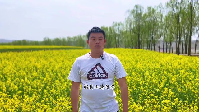 华亭:家乡的油菜花开了,你知道油菜花语吗?