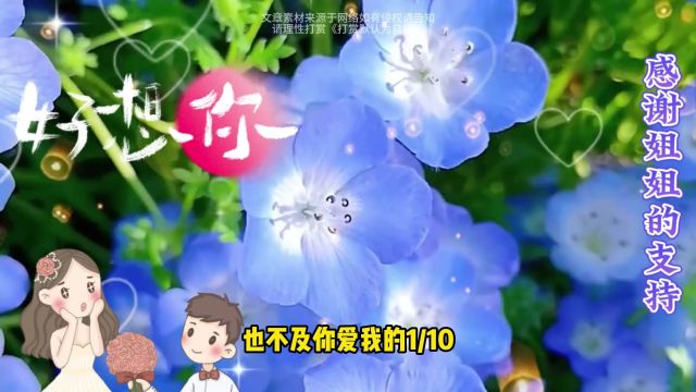 【想听你的声音】寂静的夜,你的声音是我的慰藉.