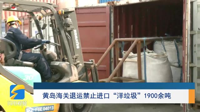 走进深蓝丨黄岛海关退运禁止进口“洋垃圾”1900余吨