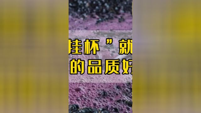 拉图卡梅尔骑士:仅凭“挂怀”就能判断红酒的品质好坏?