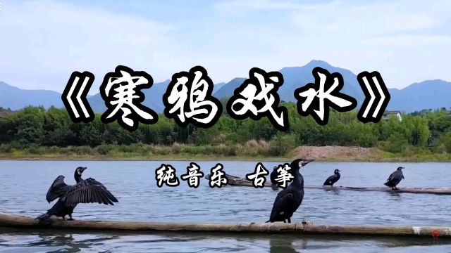 《寒鸦戏水》纯音乐完整版