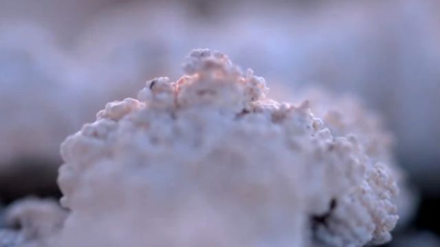 扎龙湿地水鸟种类繁多,占中国半数以上,自然生态之美引人入胜