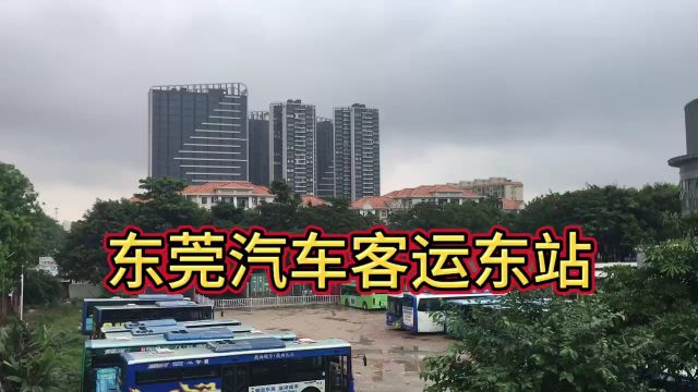 东莞市寮步镇,来汽车客运东站看看,熟悉一下这边的环境