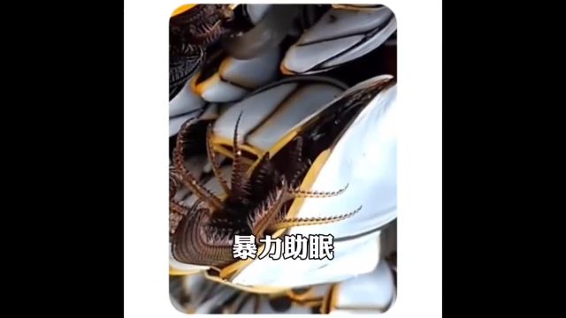 这个脚丫子真脏#修脚 #动画.mp4