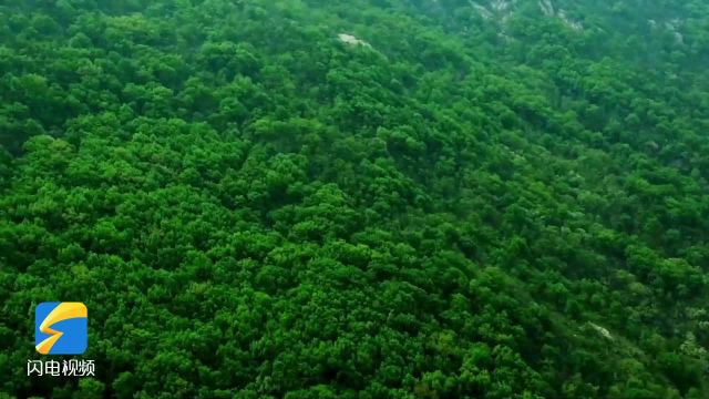 滕州灵泉山生机盎然绘就“烟火人间”