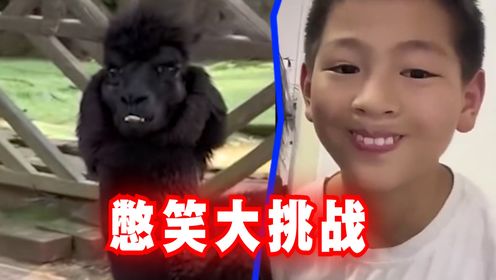 憋笑大挑战:总共五个关卡,你能憋住不笑吗?_高清1080P在线观看平台_腾讯视频