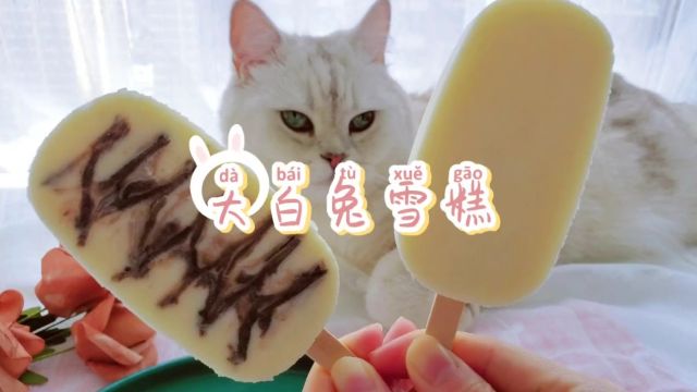 奶香味十足的大白兔雪糕,一不小心吃了三根 #雪糕 #零食 #vlog美食记.mp4