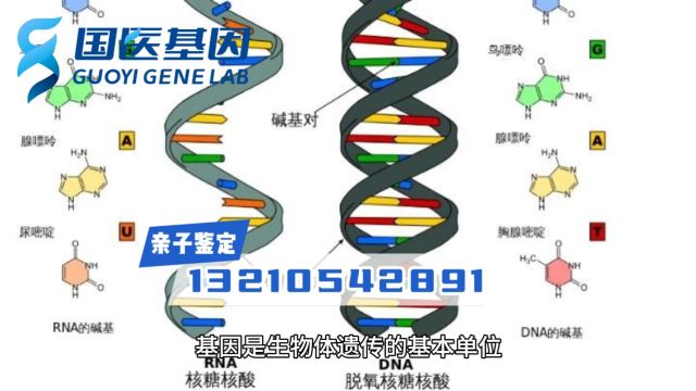 济南亲子鉴定哪里可以做