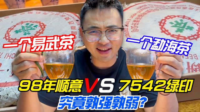 一个易武茶,一个勐海茶!98年顺意vs7542绿印,究竟孰强孰弱?