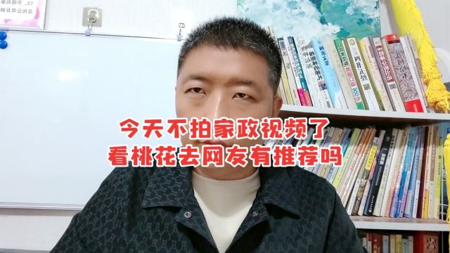 今天不怕家政视频了,看桃花去网友有推荐吗?