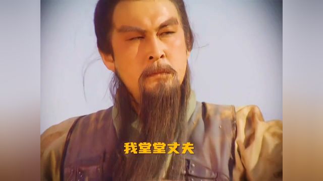 不惧千军万马义薄云天的武圣关云长 #三国演义 #关羽 #历史