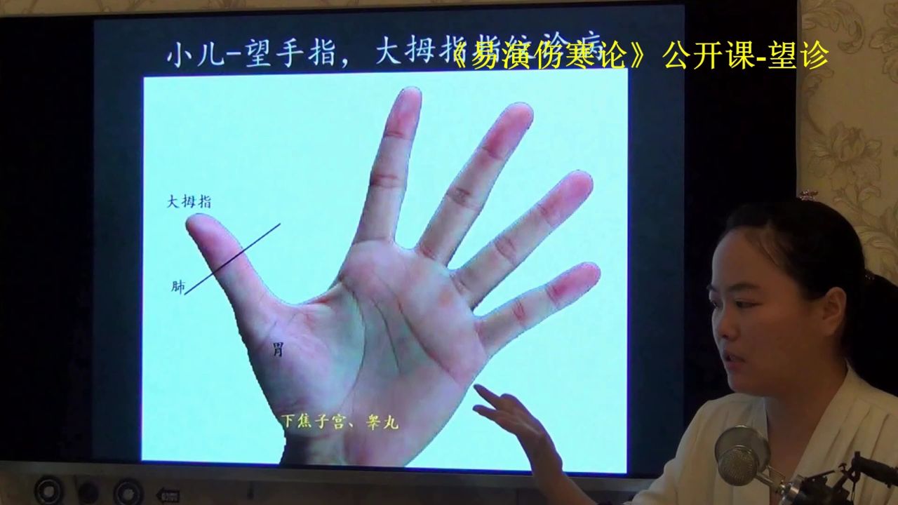 30中医大拇指指纹颜色 肺胃辨别-易演伤寒论2