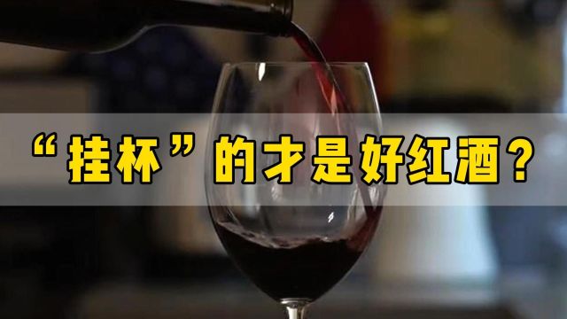 拉图卡梅尔骑士干红葡萄酒:“挂杯”的才是好红酒吗?