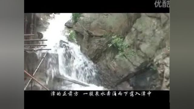 美丽中国|中华名山系列《河南云露山》世外天然药圃(4A)