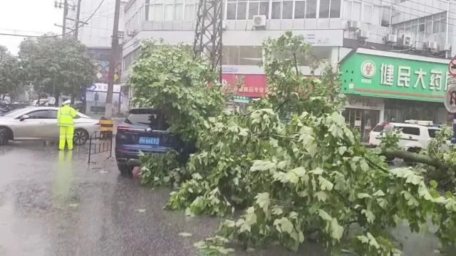 这个“五一”,为瓷都交警点赞!