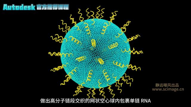 【SCI科研制图教程】如何用maya软件做高分子链段的空心球内包裹单链RNA(Maya软件)