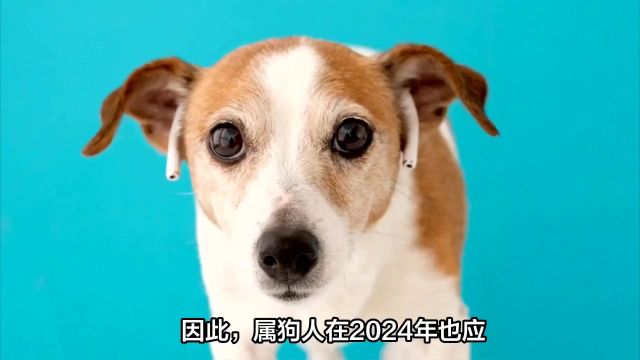 2024年属狗大忌颜色有哪些