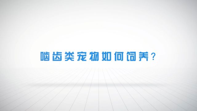 【爱宠说第一季】15期 啮齿类动物如何饲养