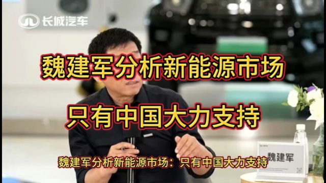 魏建军分析新能源市场:只有中国大力支持