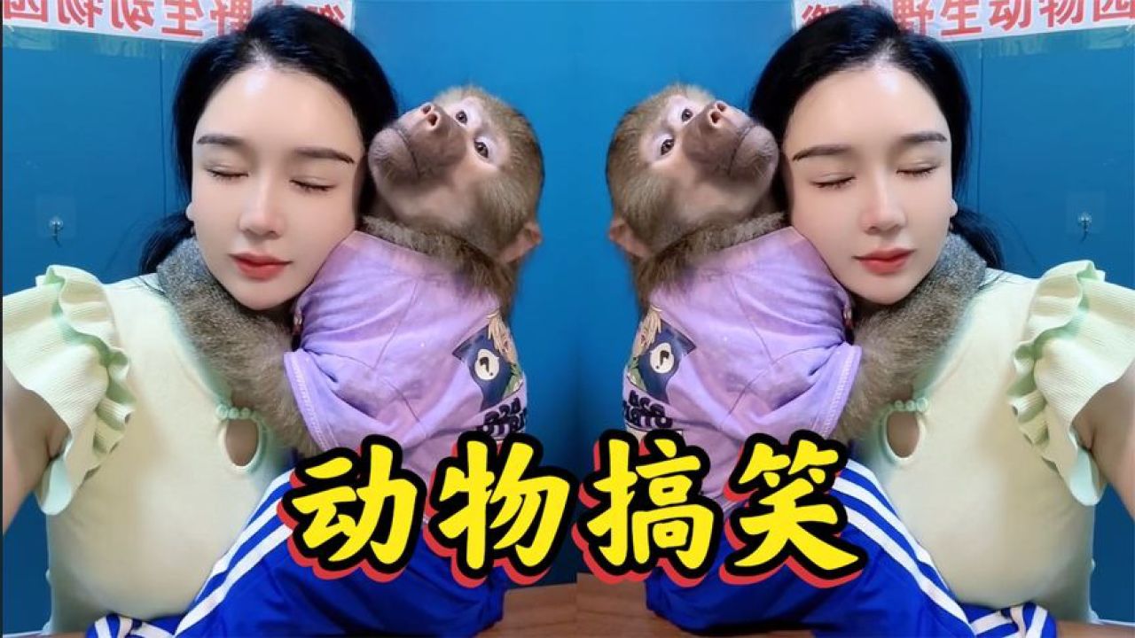盘点女生和动物的搞笑瞬间,善良漂亮的女生,特别招小动物喜欢