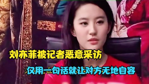 刘亦菲被记者恶意采访，仅用一句话就让对方无地自容
