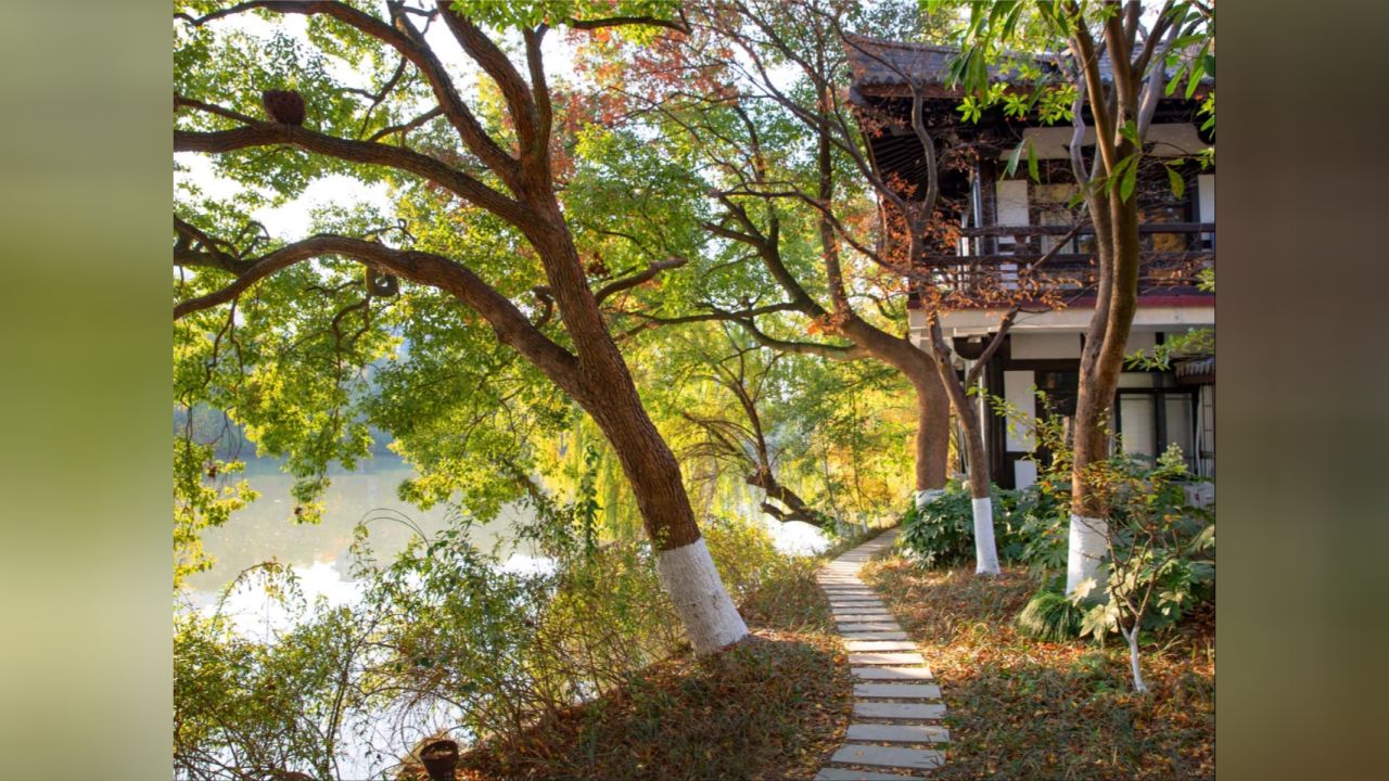 "大唐二位名相宅园"嘉兴放鹤洲冬韵