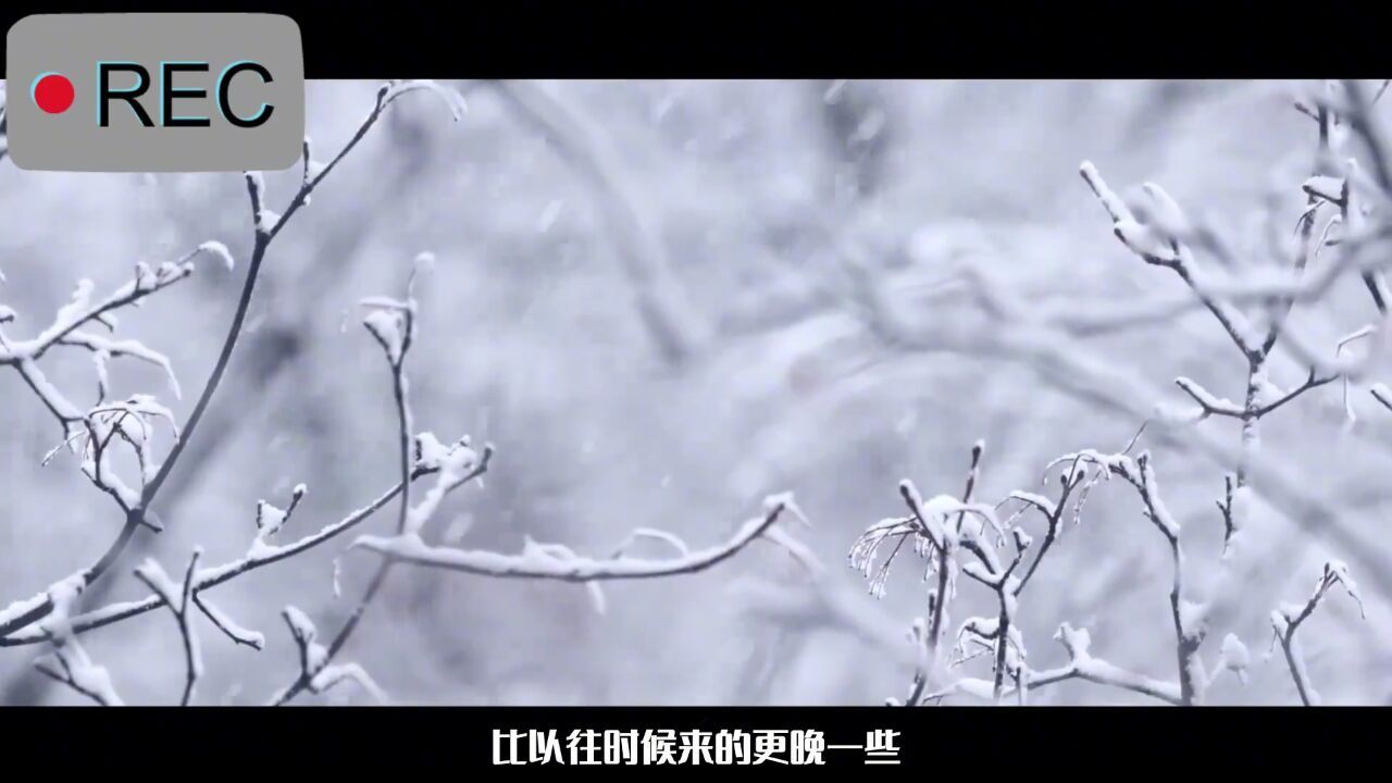 刀郎《2002年的第一场雪》还是经典版好听,前奏响起,满是回忆