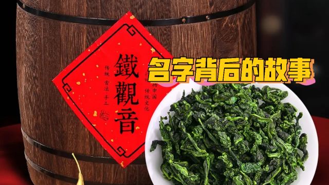 【中国茶文化】铁观音一名的由来,竟然和茶的味道毫无瓜葛!