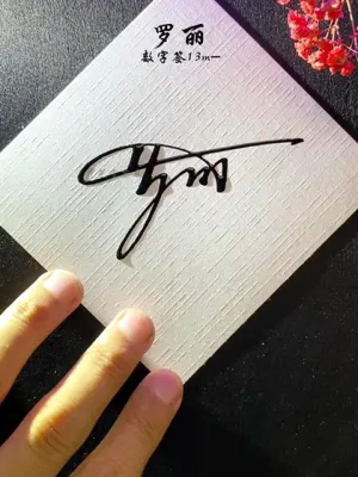你的名字也能写出花来,罗丽,数字签13m