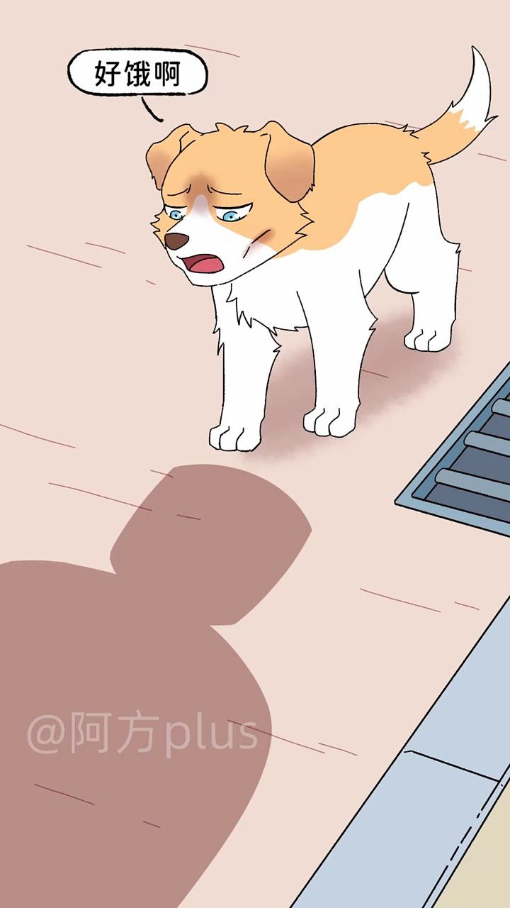 流浪狗陪伴交警执勤两年,终于混上"编制"02!