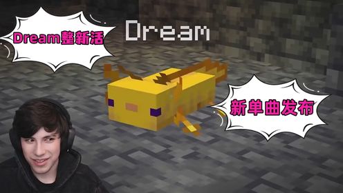 dream又整新活,混音单曲竟然有点好听是怎么回事?_高清1080P在线观看平台_腾讯视频