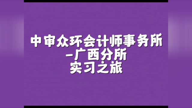 我的实习日记中审众环广西分所 卢青