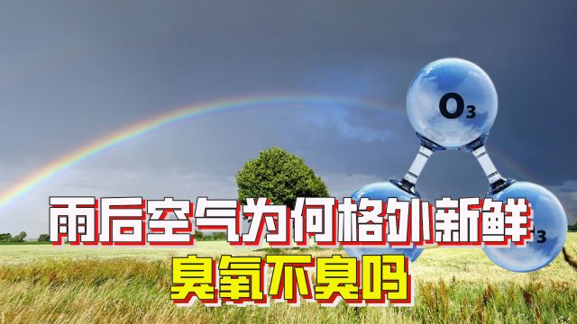 雨后空气为何格外新鲜?因为臭氧,臭氧不臭吗?