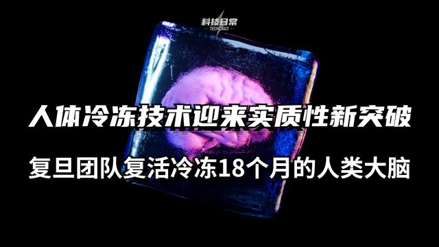 人体冷冻技术迎来实质性新突破 复旦团队复活冷冻18个月的人类大脑 