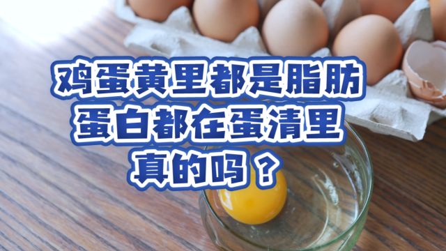 鸡蛋黄里都是脂肪,蛋白都在蛋清里,补蛋白只吃蛋清就可以?