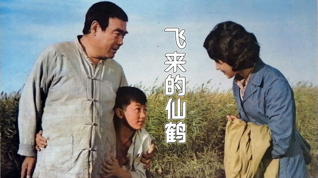 感人至深的养育恩,催人泪下的骨血情 #飞来的仙鹤 #老电影 #催泪电影