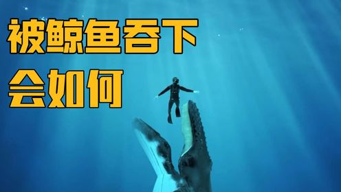 深海惊魂：被鲸鱼吞没后的生死时刻，如果不幸被鲸鱼吞下，你的命运会如何？