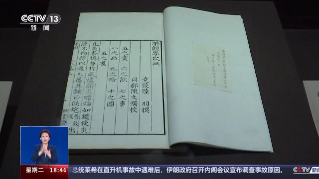 “茶”字拆开就是“人在草木间” 茶文化中包含了这些生活雅趣→