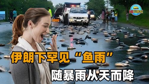伊朗下罕见“鱼雨”:大量活鱼接连从天而降,当地人快愁哭了!_高清1080P在线观看平台_腾讯视频