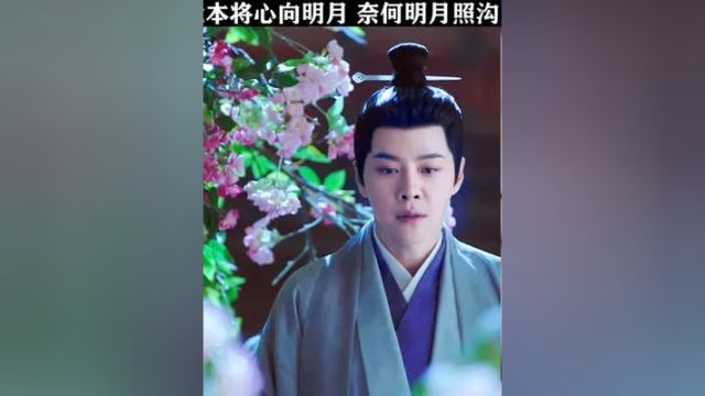 我本将心向明月 奈何明月照沟渠 徐海乔 王丽坤