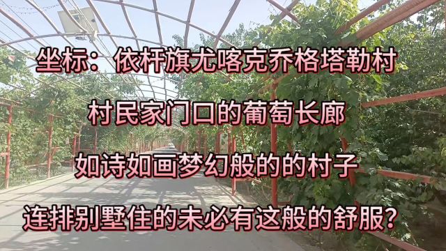 看看南疆新农村建设像不像是住在公园里的农家小院