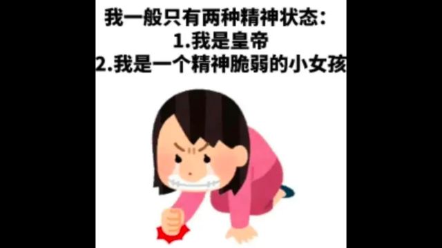 统招专升本落榜,白俄留学一年全日制本科解忧