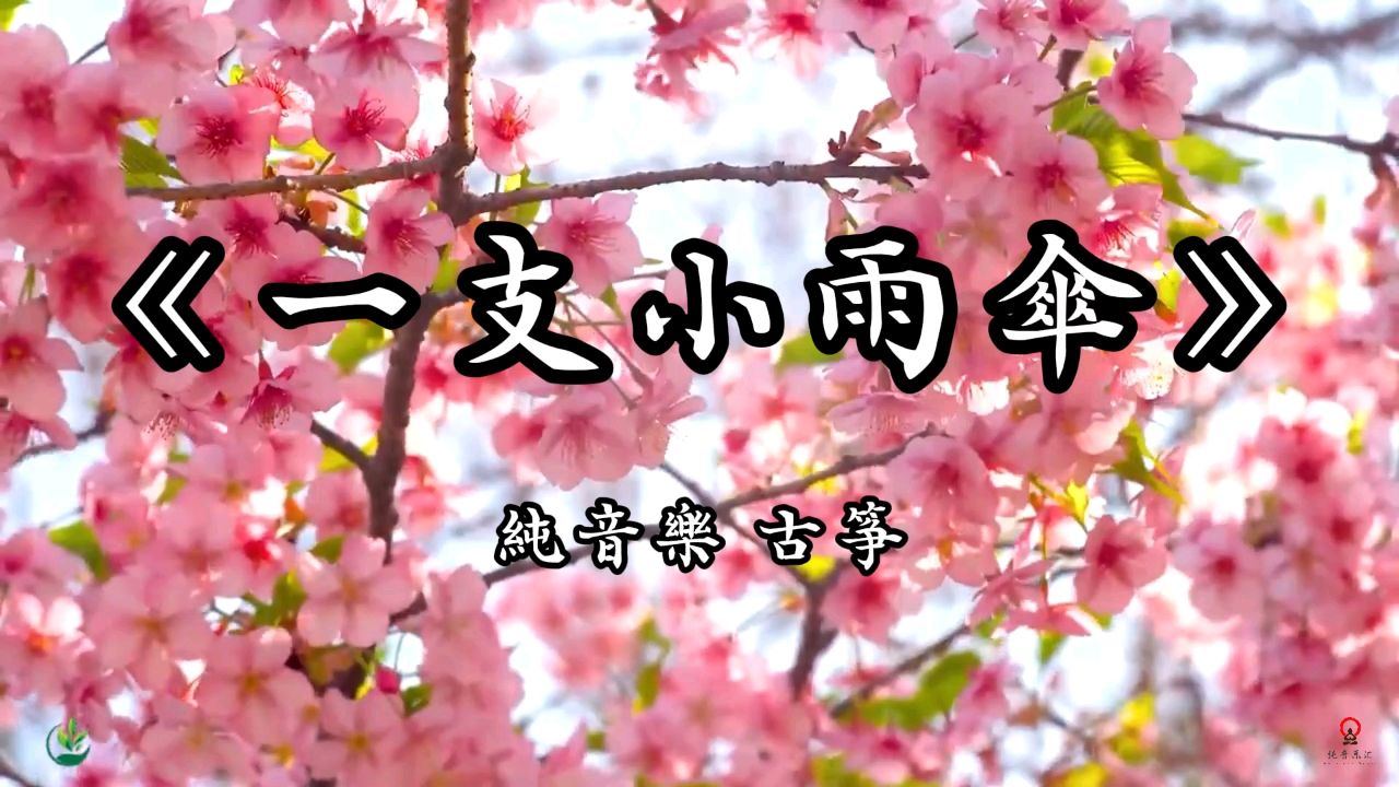 《一支小雨伞》纯音乐古筝版