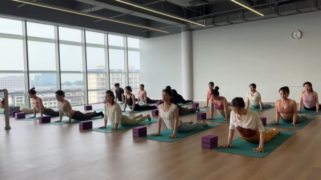 邱源课堂:拜日式练习