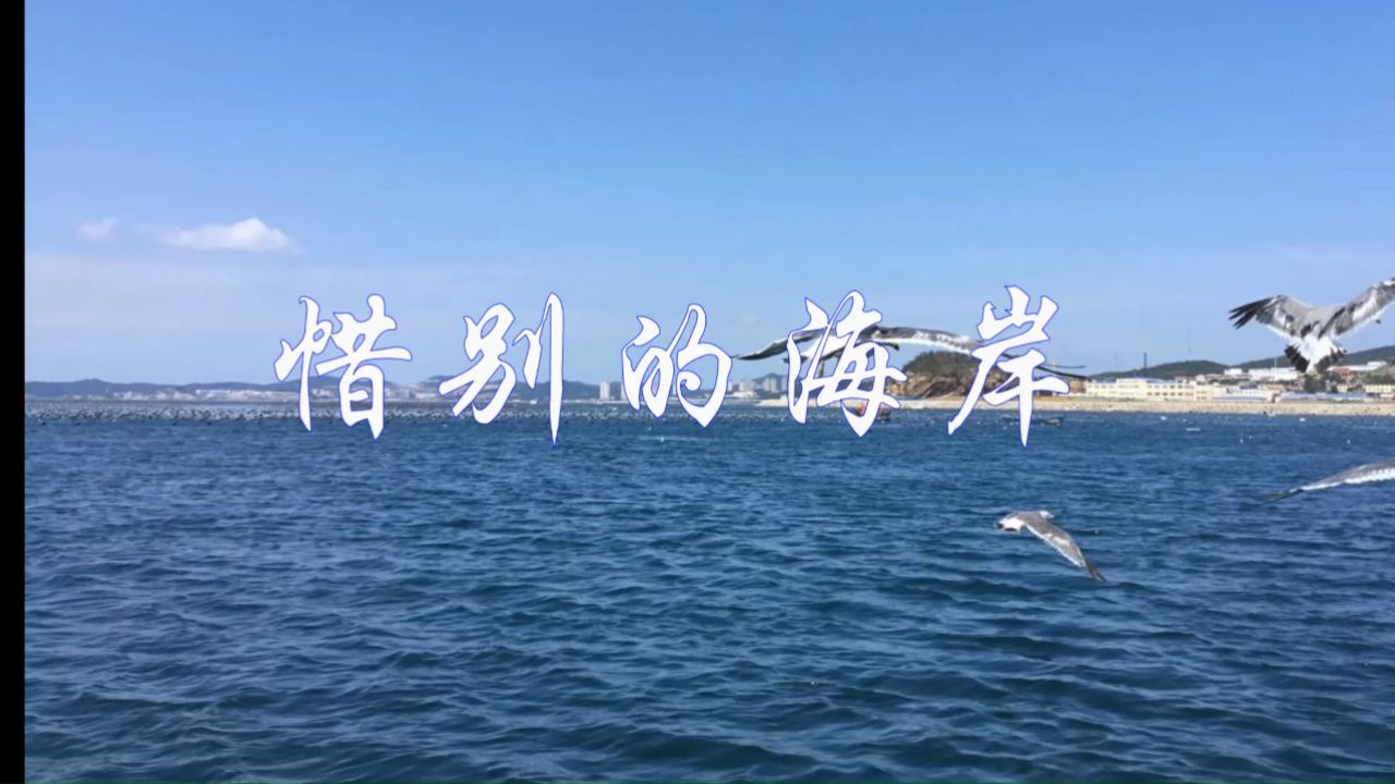 惜别的海岸(翻唱版)
