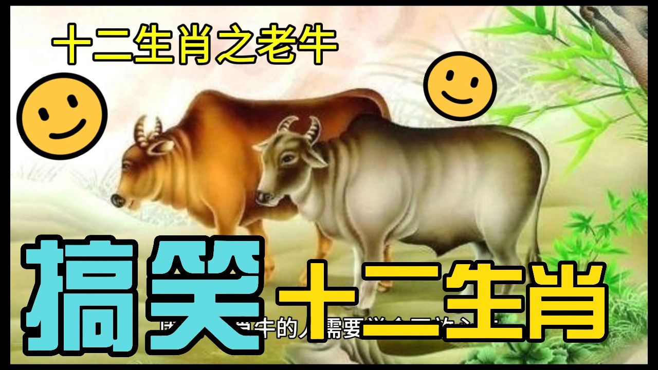 生肖牛:坚韧与勤劳的象征