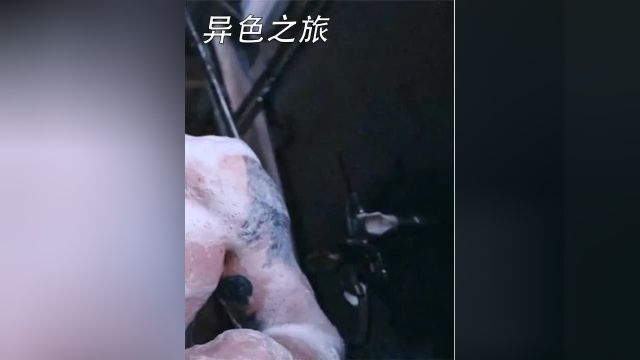 男人被囚禁在猪圈和母猪配种,原因竟是撞死一头猪3