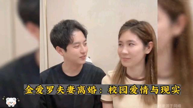 金爱罗夫妻离婚:校园爱情与现实